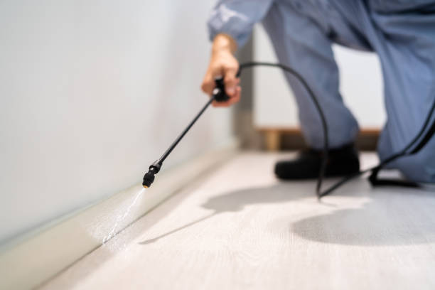 Licensed Termite Control service in McKees Rocks, PA - Show Me Pest Control